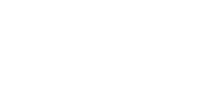 Investigation Service